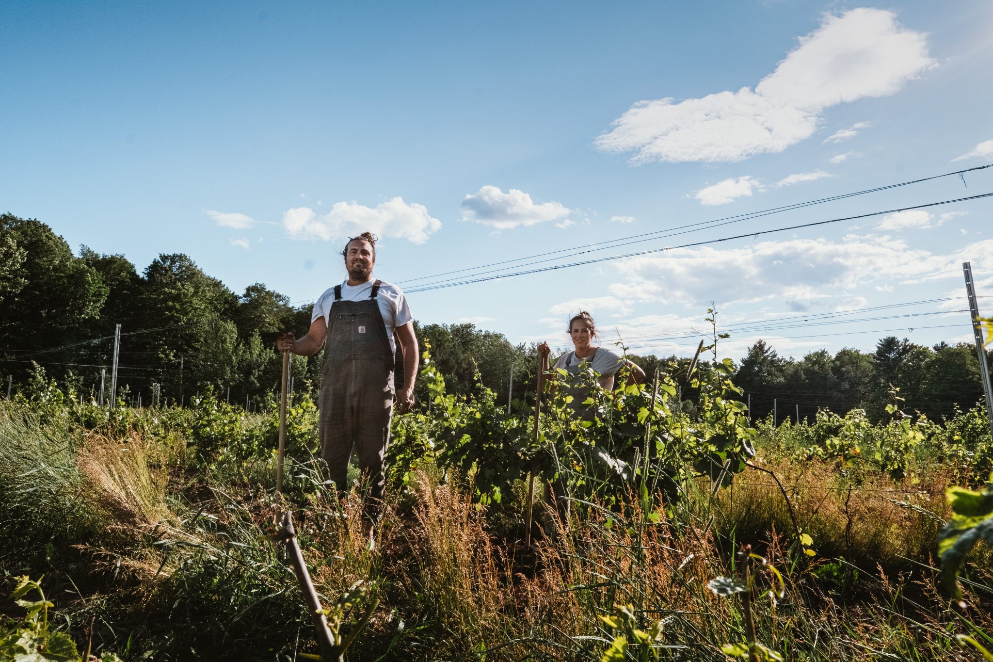 Les Soeurs racines vignoble biologique à Saint-Ignace-de-Stanbridge dans Brome-Missisquoi, par Visages régionaux