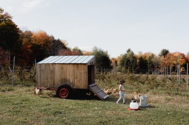 Les Soeurs racines vignoble biologique à Saint-Ignace-de-Stanbridge dans Brome-Missisquoi, par Visages régionaux