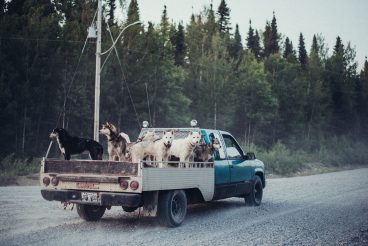 Chiens husky en pick-up, Chapais, Nord-du-Québec, par Visages régionaux