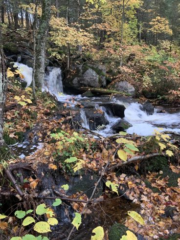 Chute-Saint-Philippe, par Visages régionaux