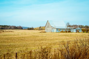 Ferme-Neuve, par Visages régionaux