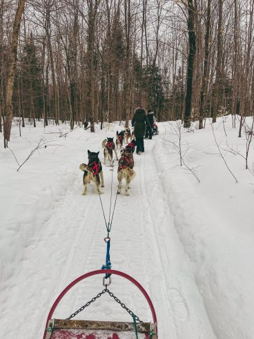 Escapade Huskimo dans le Pontiac, par Visages régionaux