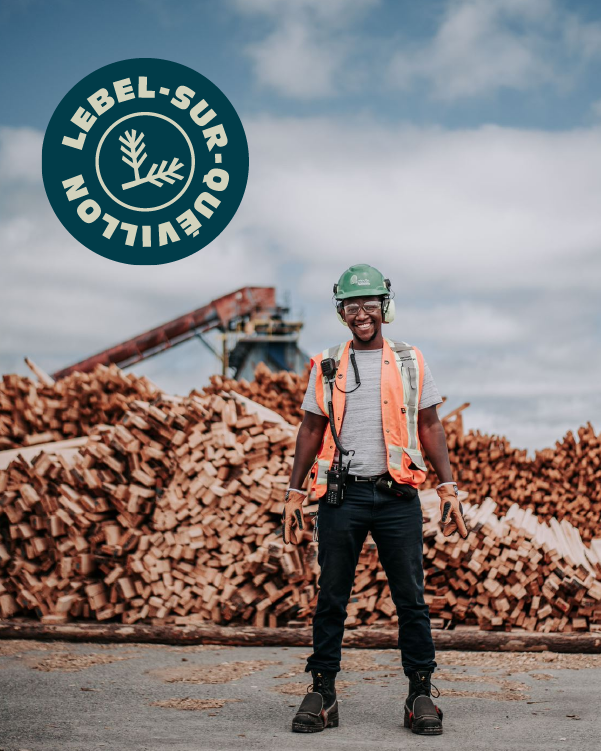 Un renouveau lumineux pour LebelsurQuévillon